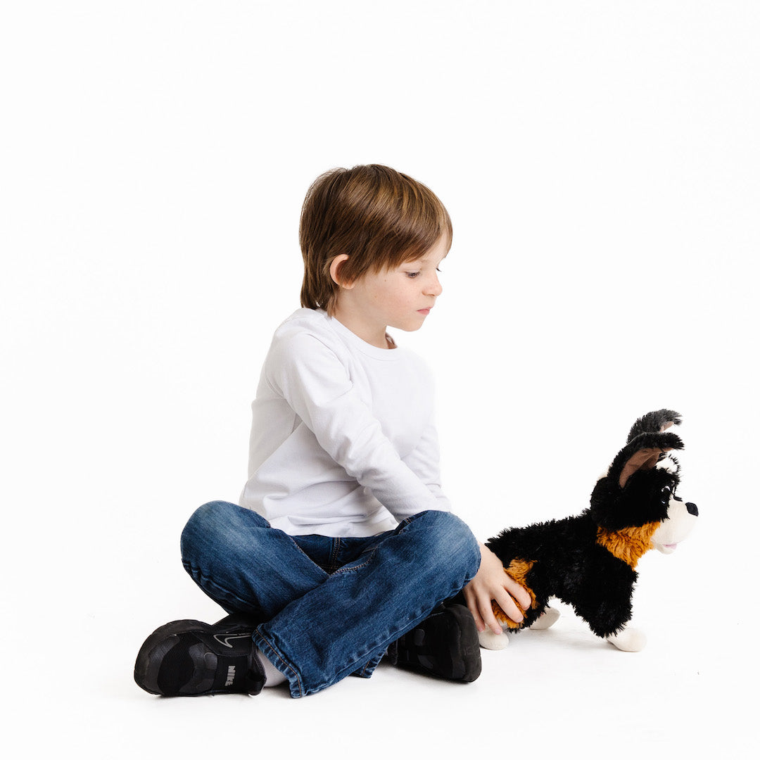 The Wingfeather Saga Plush Bundle