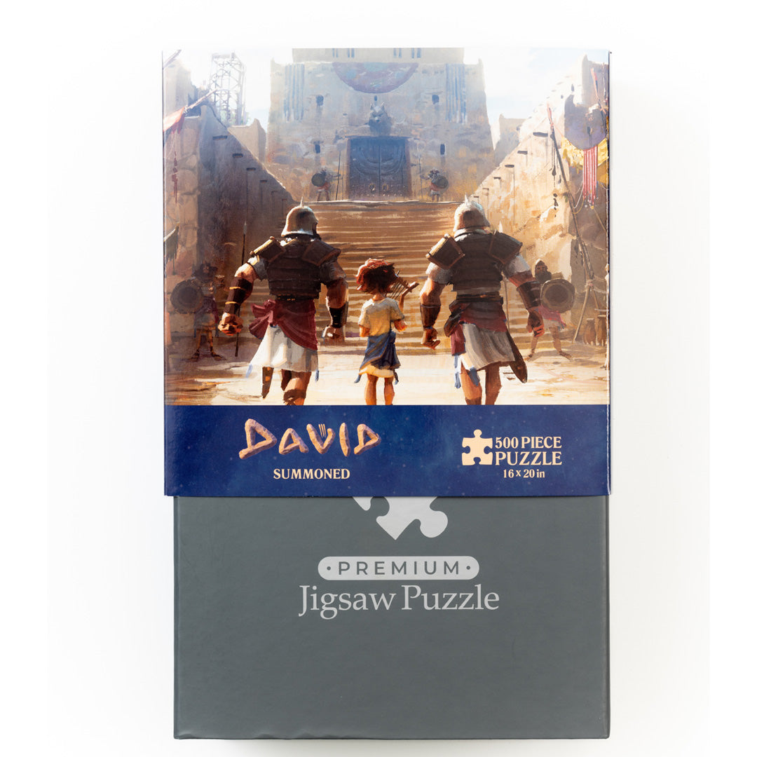 David™ Puzzle Bundle