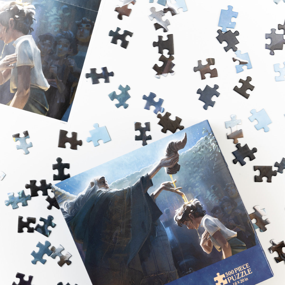 David™ Puzzle Bundle
