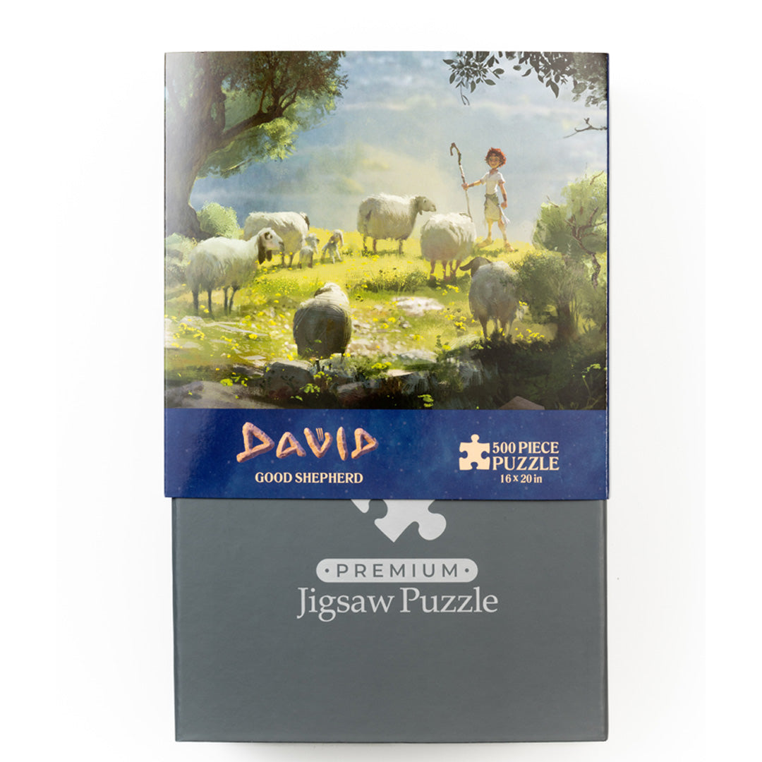David™ Puzzle Bundle