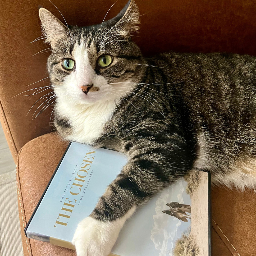 Christmas With The Chosen DVD OR Blu-ray