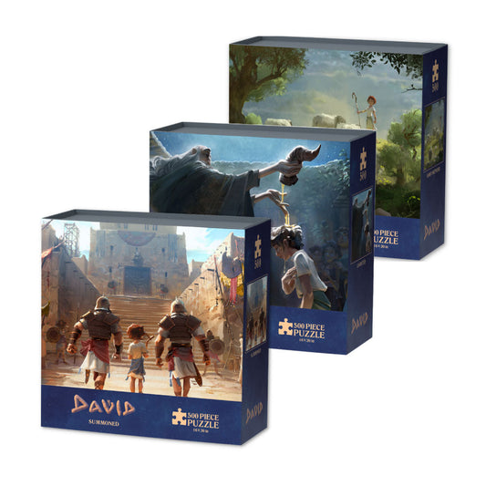 David™ Puzzle Bundle