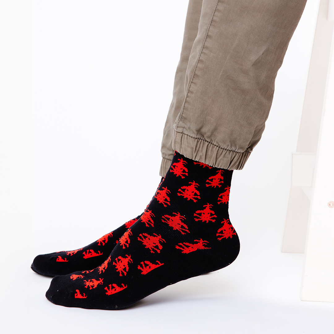 Wingfeather Socks 3 Pack
