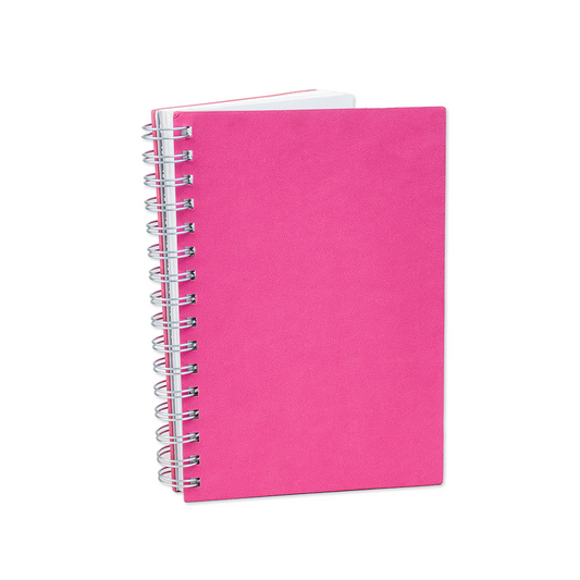 Emily's Notebook