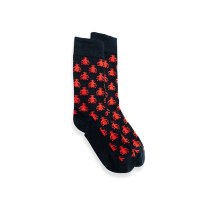 Wingfeather Socks 3 Pack